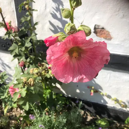 Lykkeholms Bella Vista *