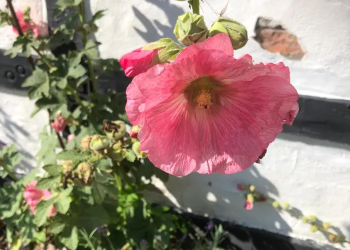 Lykkeholms Bella Vista *