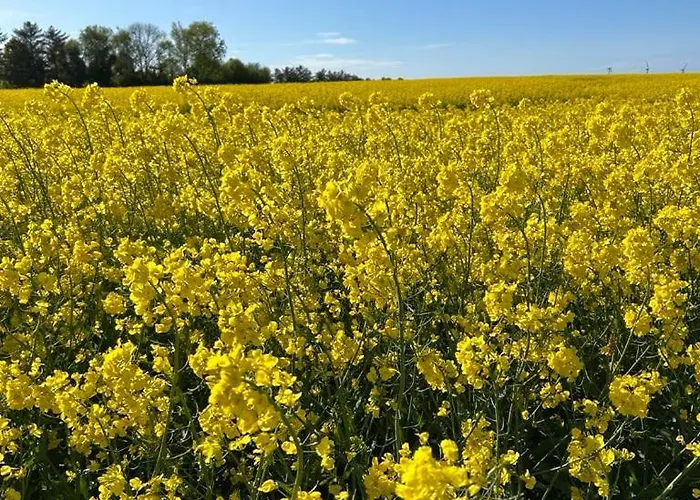 Сasa de vacaciones Lykkeholms Bella Vista