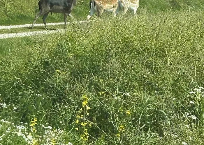 Lykkeholms Bella Vista Сasa de vacaciones